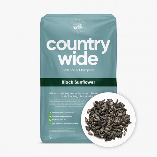 AEJ Willsbridge Black Sunflower Food for Straights 13kg